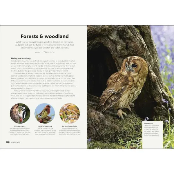 Chris Packham's Birdwatching Guide