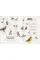 Chris Packham's Birdwatching Guide
