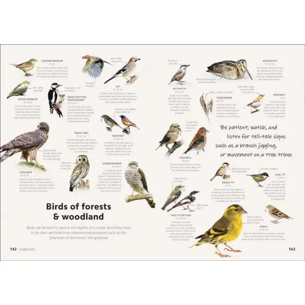 Chris Packham's Birdwatching Guide