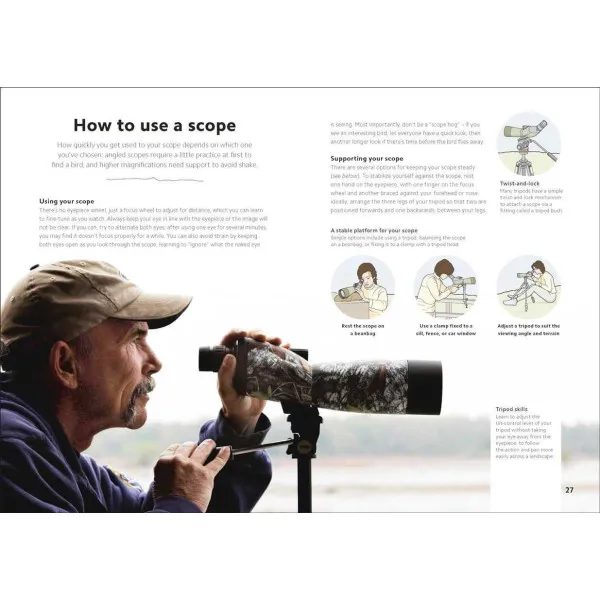 Chris Packham's Birdwatching Guide