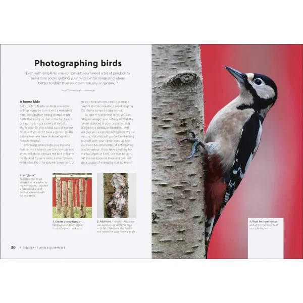 Chris Packham's Birdwatching Guide