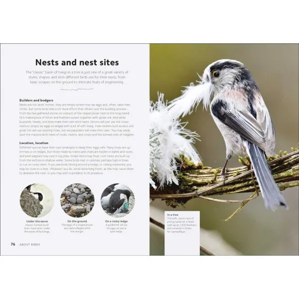 Chris Packham's Birdwatching Guide