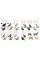 The Cat Encyclopedia