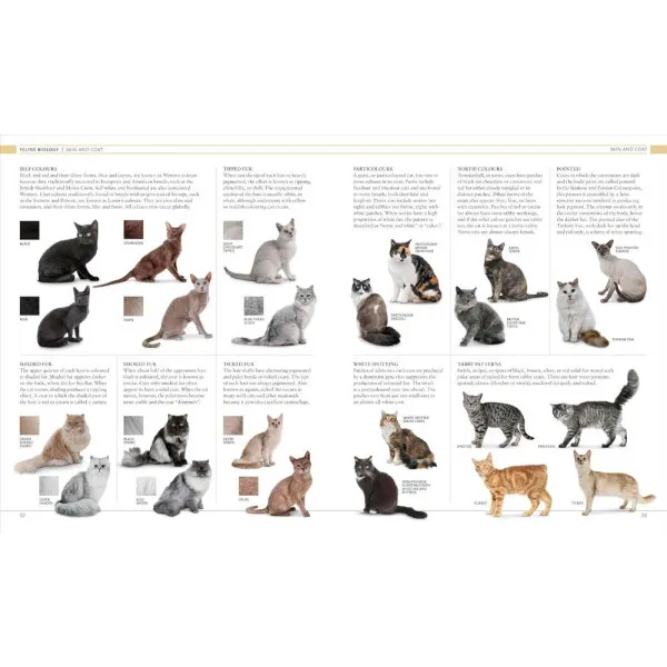 The Cat Encyclopedia