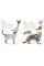 The Cat Encyclopedia