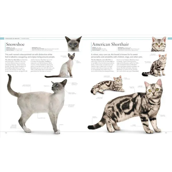 The Cat Encyclopedia