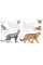 The Cat Encyclopedia