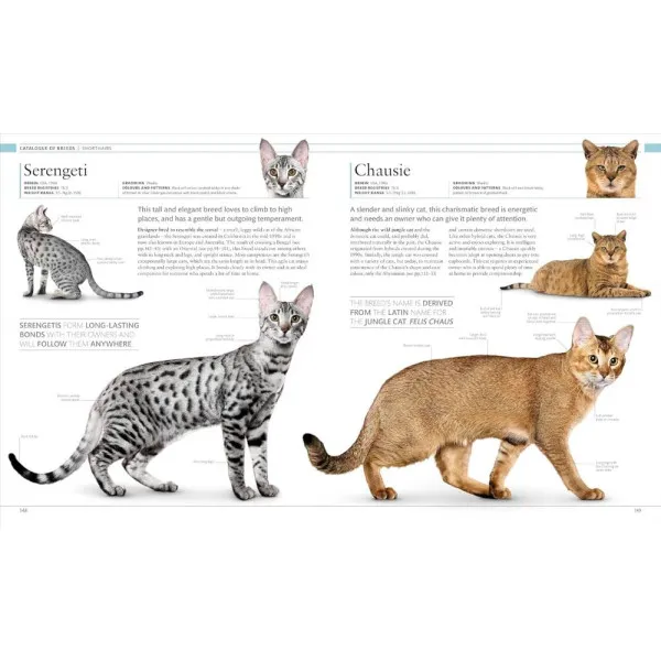 The Cat Encyclopedia