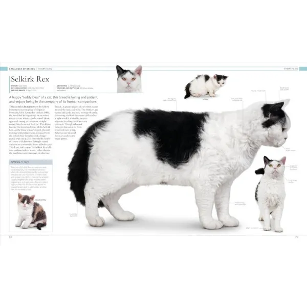 The Cat Encyclopedia