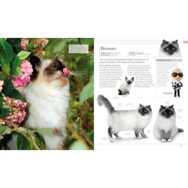 The Cat Encyclopedia