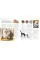 The Cat Encyclopedia