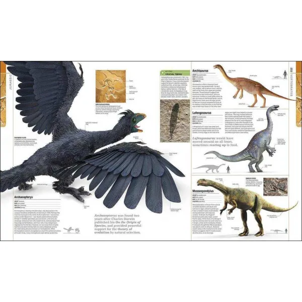 Dinosaurs and Prehistoric Life