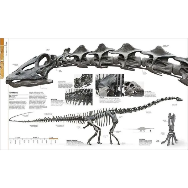 Dinosaurs and Prehistoric Life