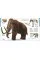 Dinosaurs and Prehistoric Life