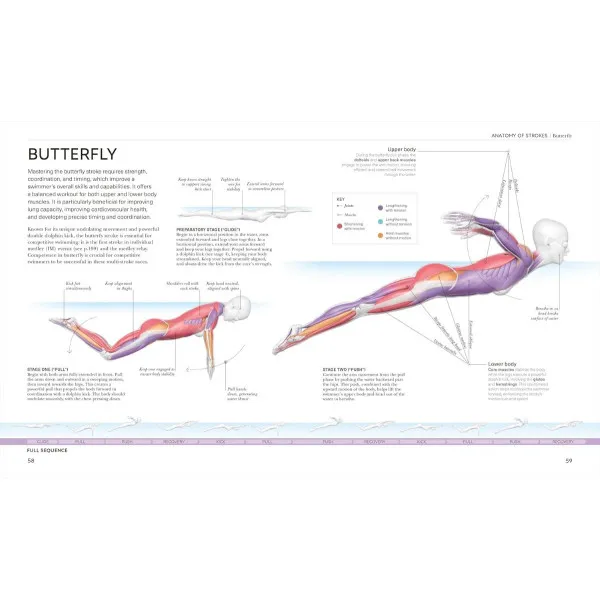 Science of Swimming