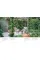 How to Design a Garden