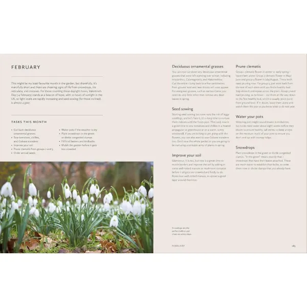 How to Design a Garden