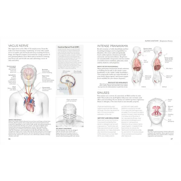 Science of Yoga