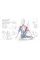 Science of Yoga