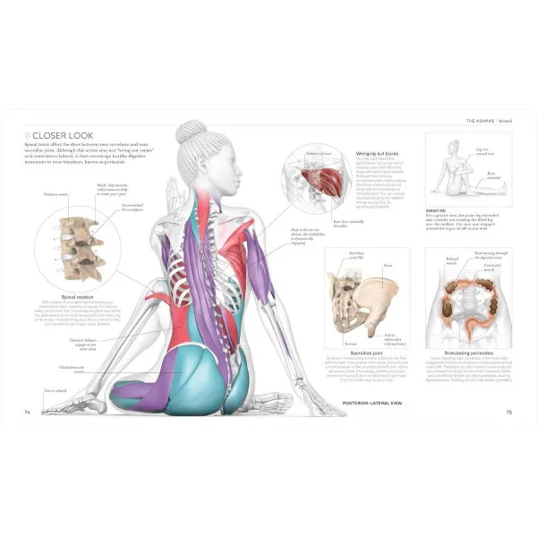 Science of Yoga