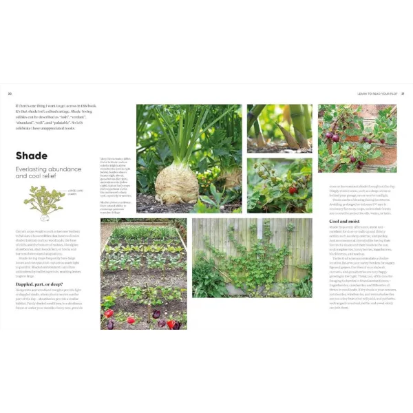 RHS Grow Food Anywhere