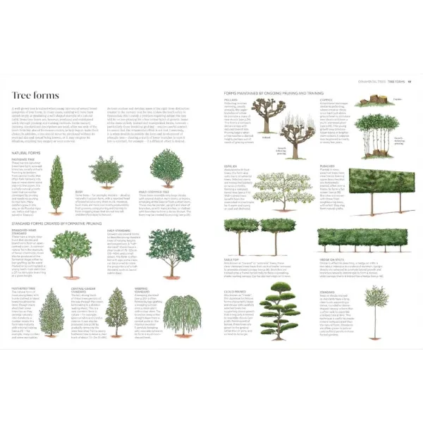 RHS Pruning and Training