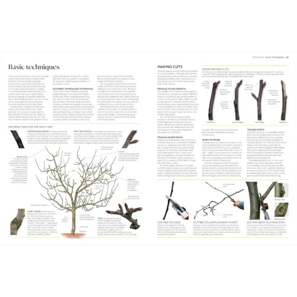RHS Pruning and Training