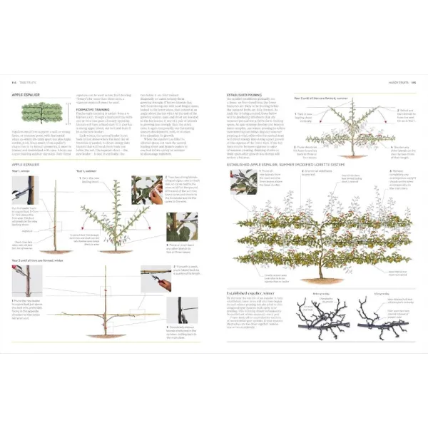 RHS Pruning and Training