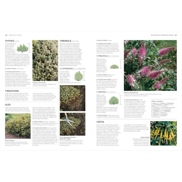 RHS Pruning and Training