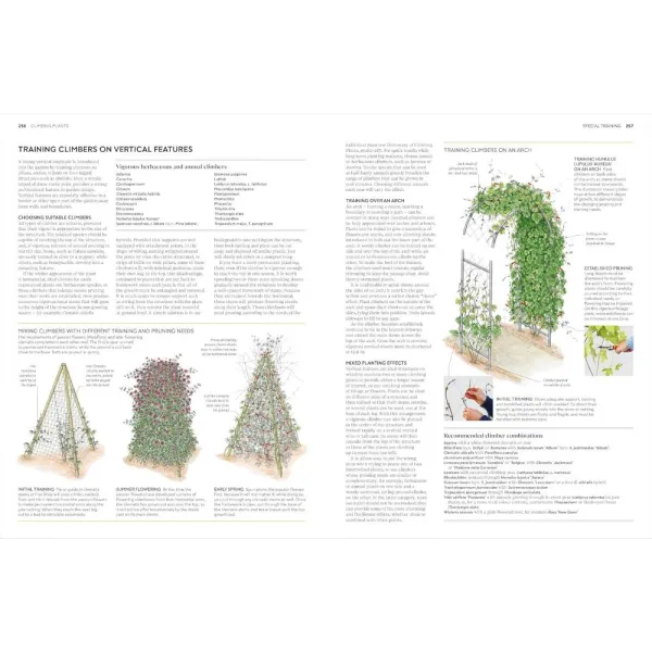 RHS Pruning and Training