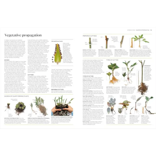 Propagating Plants
