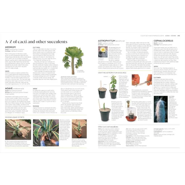 Propagating Plants
