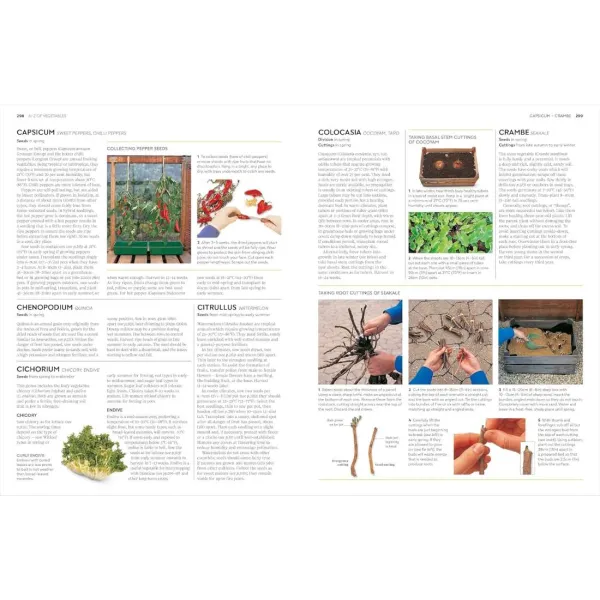 Propagating Plants