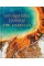 The Americas - Unforgettable Journeys