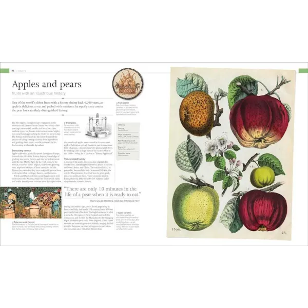The Food Book
