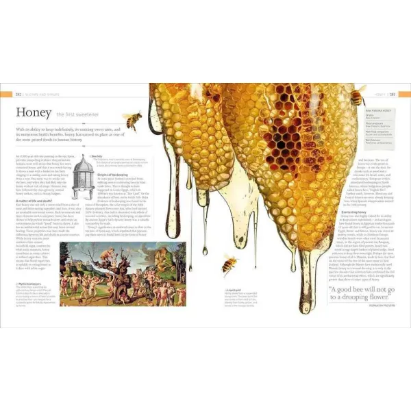 The Food Book