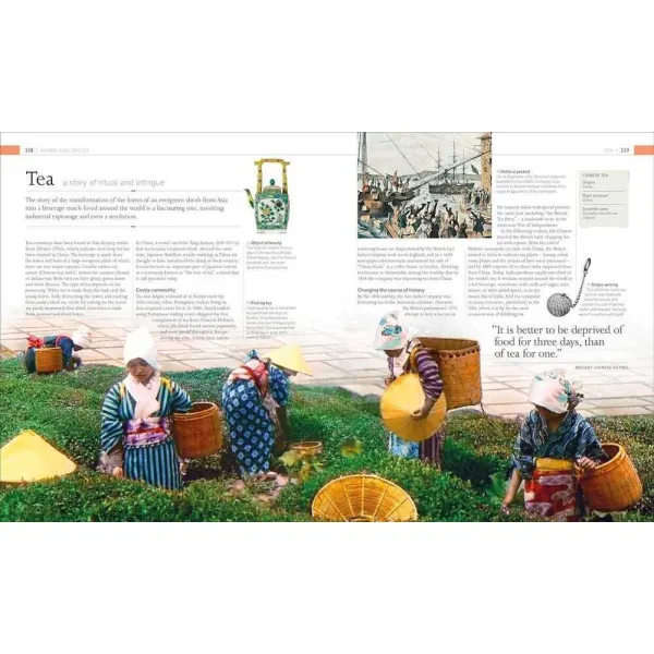 The Food Book