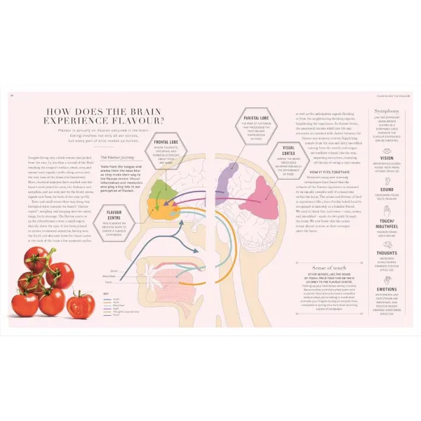 The Science of Flavour
