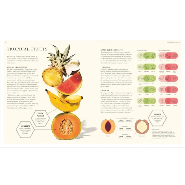 The Science of Flavour