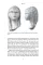 The Face. A Cultural History