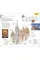 Budapest (Travel Guide)