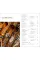 Australia (Travel Guide)