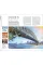 Australia (Travel Guide)