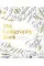 The Calligraphy Book