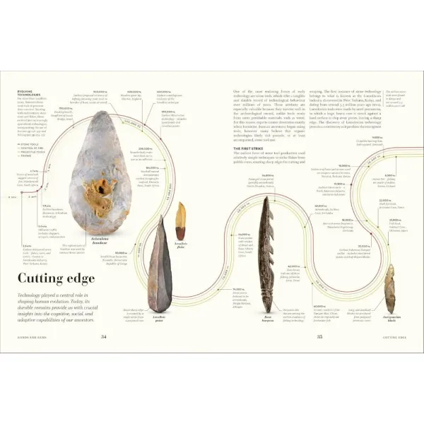 Humans: The Evolution of a Species