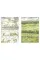 Watership Down. Richard Adams