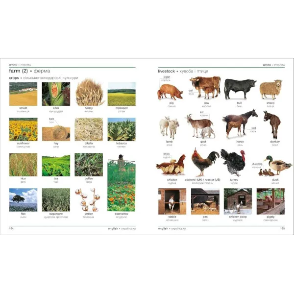 Ukrainian English Bilingual Visual Dictionary