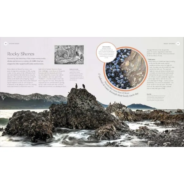 The Ocean Book