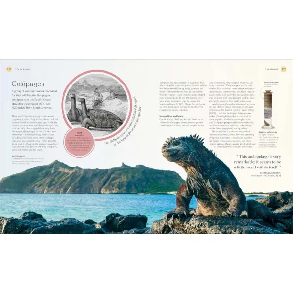 The Ocean Book