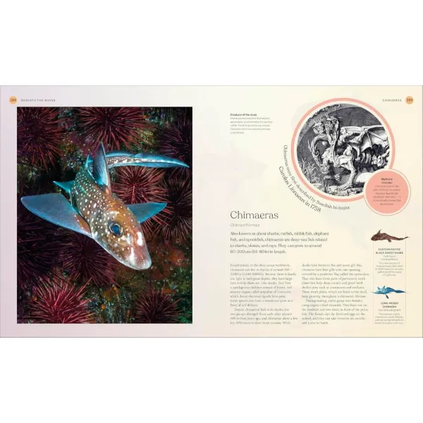 The Ocean Book